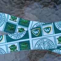 3” Wide Wayne State University headband, self tie, Warriors, hair wrap, hair tie, head wrap, pin up style, retro, scarf, handmade