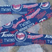 3” Wide Minnesota Twins headband, handmade, self tie, hat band, pin up style, hair wrap, hair tie, baseball