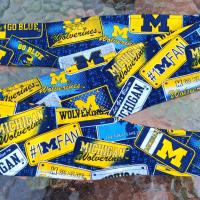 3” Wide University of Michigan headband, handmade, hair wrap, hair tie, head wrap, pin up style, retro, rockabilly, UofM, license plates print